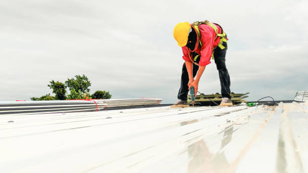 Best Roof Ventilation Installation  in Bling, AR